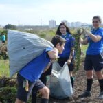 Sul Informação - 200 jovens escuteiros e bombeiros arrancaram toneladas de chorão das dunas de Alvor