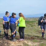 Sul Informação - 200 jovens escuteiros e bombeiros arrancaram toneladas de chorão das dunas de Alvor