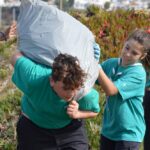 Sul Informação - 200 jovens escuteiros e bombeiros arrancaram toneladas de chorão das dunas de Alvor