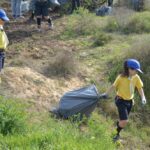 Sul Informação - 200 jovens escuteiros e bombeiros arrancaram toneladas de chorão das dunas de Alvor