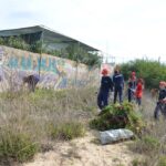 Sul Informação - 200 jovens escuteiros e bombeiros arrancaram toneladas de chorão das dunas de Alvor