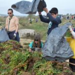 Sul Informação - 200 jovens escuteiros e bombeiros arrancaram toneladas de chorão das dunas de Alvor