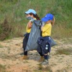 Sul Informação - 200 jovens escuteiros e bombeiros arrancaram toneladas de chorão das dunas de Alvor