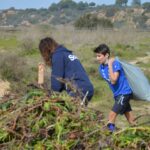 Sul Informação - 200 jovens escuteiros e bombeiros arrancaram toneladas de chorão das dunas de Alvor