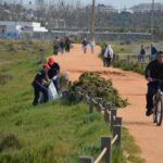 Sul Informação - 200 jovens escuteiros e bombeiros arrancaram toneladas de chorão das dunas de Alvor