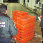 Sul Informação - Polícia Marítima apreende arrastão espanhol com 400 quilos de crustáceos apanhados ilegalmente