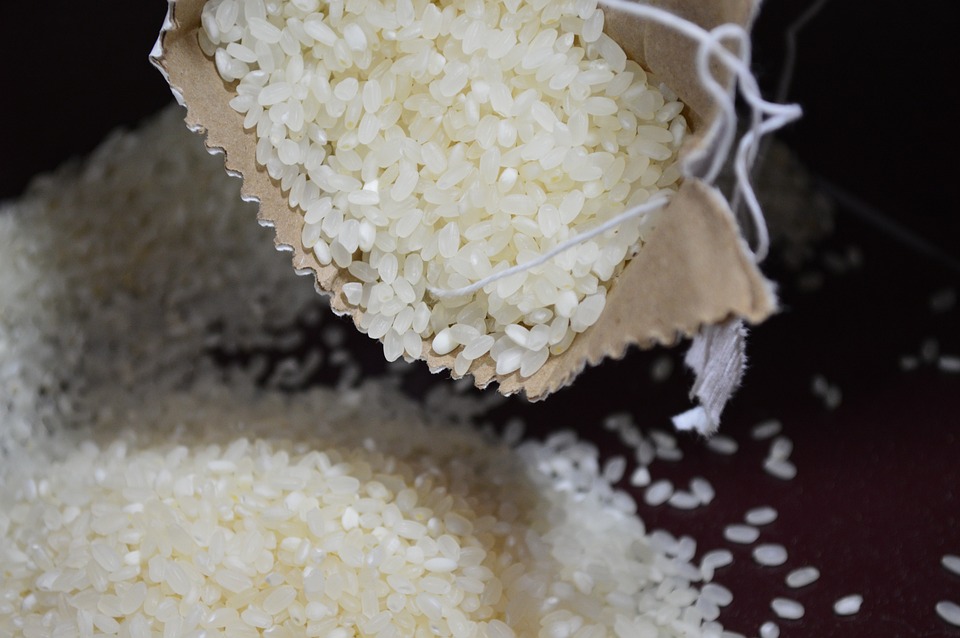 Sul Informação - Preço do arroz europeu atingiu pico e deverá sofrer correções nos próximos anos