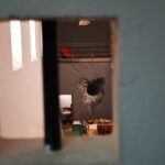 Sul Informação - ARTURb abre exposição e volta a encher de arte as paredes de Lagos