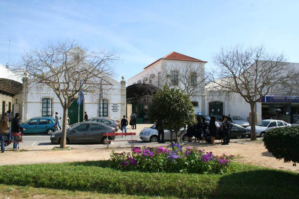 Sul Informação - Formadores da Rota Waoh! sensibilizam para preservação ambiental na atividade turística