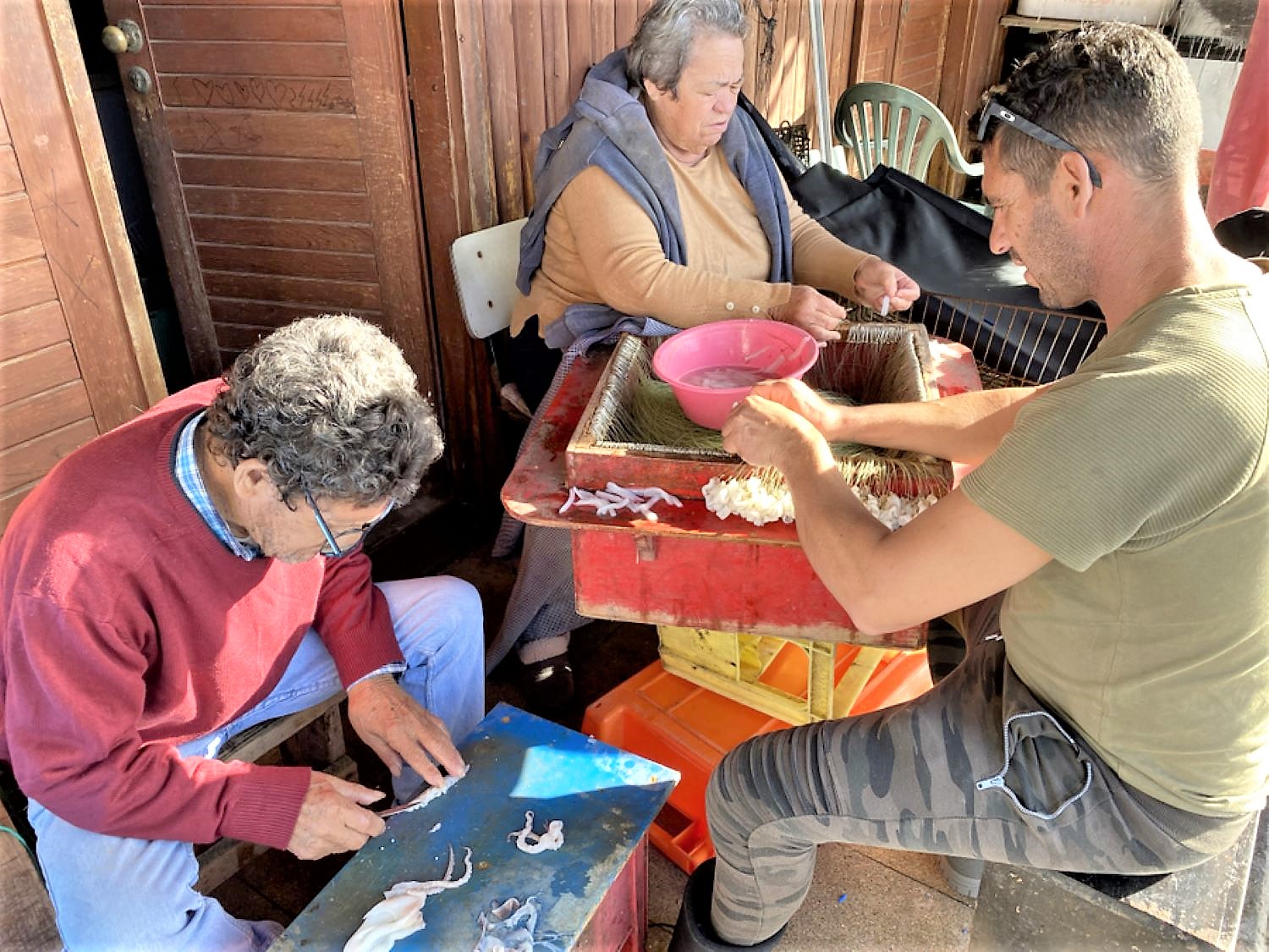 Sul Informação - Portimão celebra trabalho da comunidade de pescadores artesanais de Alvor