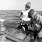 Sul Informação - Portimão celebra trabalho da comunidade de pescadores artesanais de Alvor