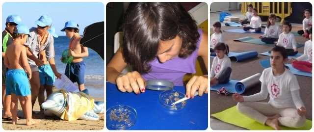 Sul Informação - Miúdos têm programa especial no Festival de Observação de Aves de Sagres