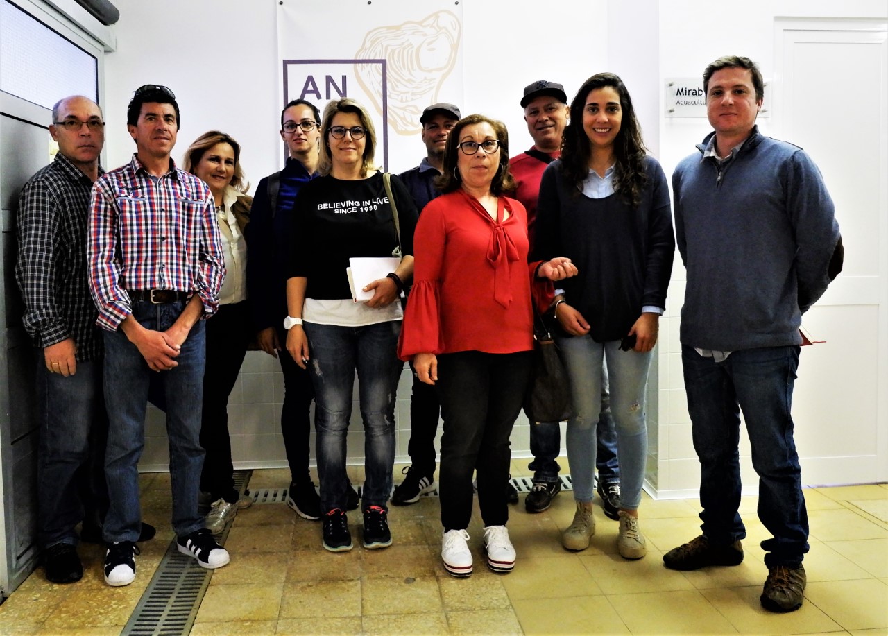 Sul Informação - Também já se aprende a ser viveirista na escola