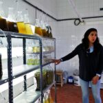 Sul Informação - Também já se aprende a ser viveirista na escola