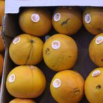 Sul Informação - Nem Conan resistiu ao stand do Algarve na BTL