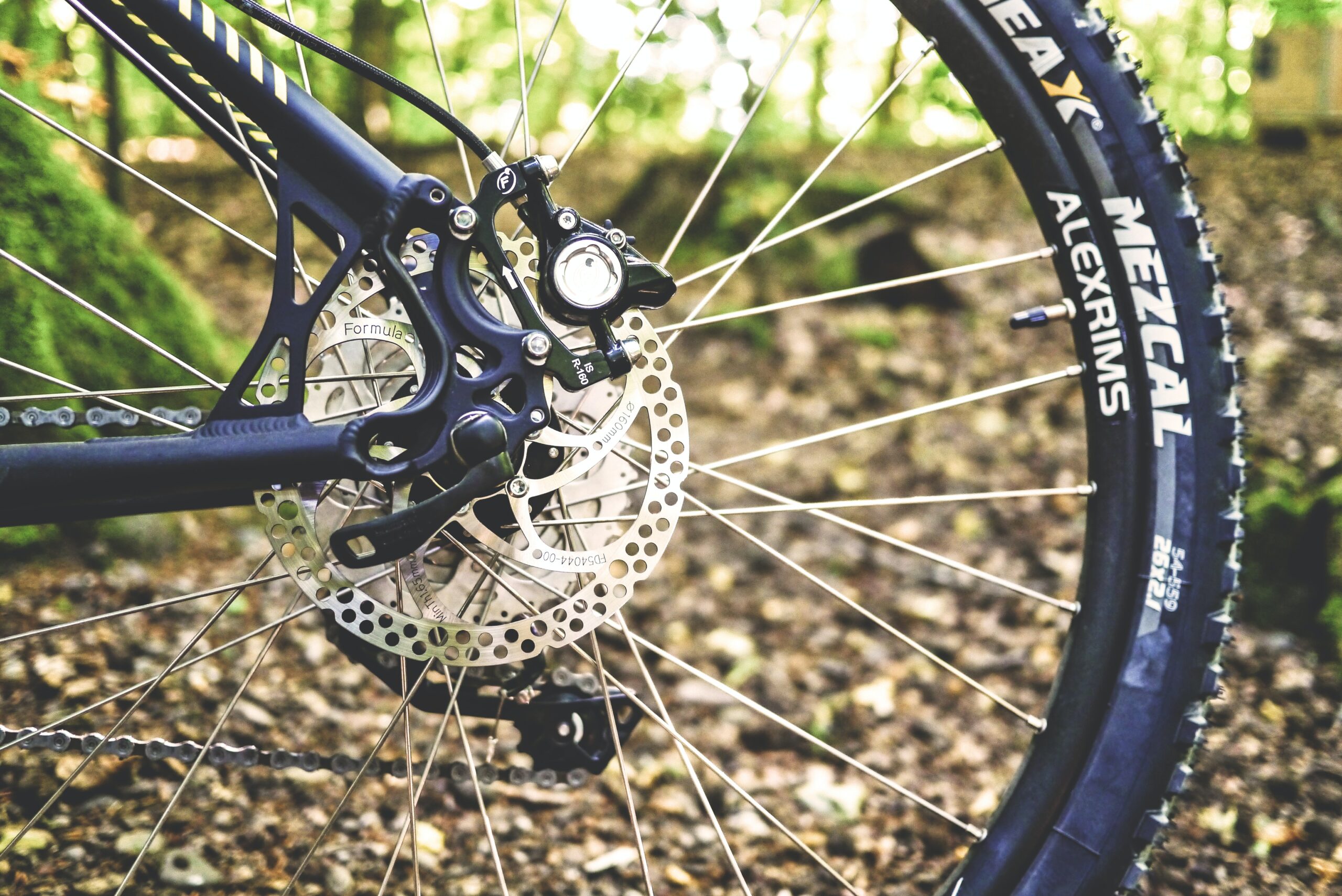 Sul Informação - Inscrições na 1ª Maratona BTT Cidade de Tavira «superam expetativas»