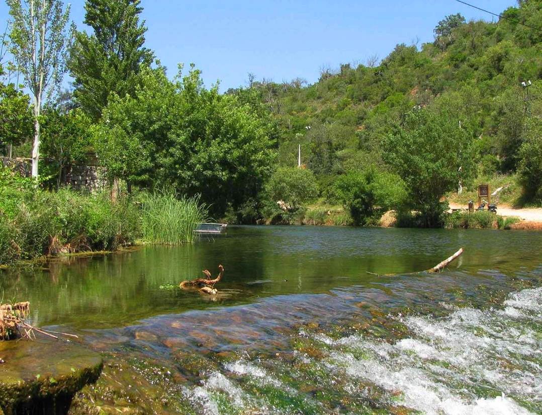 Sul Informação - Universidade de Évora promoveu a sustentabilidade da água no evento Water4All