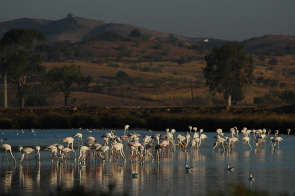 Sul Informação - Odiana mostra potencialidades do Baixo Guadiana na Bienal de Turismo de Natureza