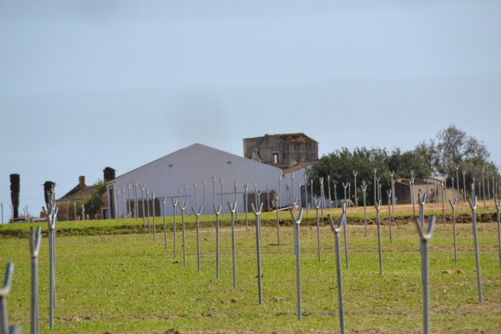 Sul Informação - Direção Regional de Cultura e GNR criam uma espécie de SEPNA para o património do Algarve