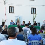 Sul Informação - Exposição “Balsa, Cidade Romana” é «sucesso» e prolonga-se até Janeiro