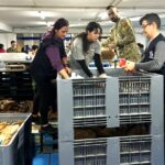 Sul Informação - Banco Alimentar do Algarve recolheu 140 toneladas de alimentos na campanha do fim-de-semana