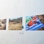 Sul Informação - Walk & Art Fest em Barão de São João é muito mais que só caminhar