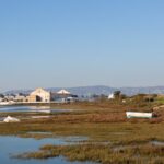 Sul Informação - Estaleiros de Faro e Marina de Vilamoura “desfazem-se” de barcos abandonados