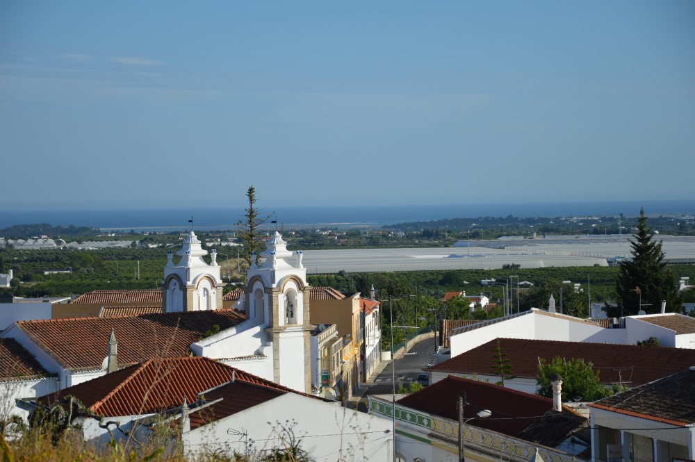 Sul Informação - Barro Cal, a festa que vai pôr toda a gente a cantar e a dançar nos campos de Santo Estêvão
