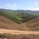 Sul Informação - Silves intensifica criação de faixas de gestão de combustível para defesa contra incêndios