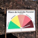 Sul Informação - Colégio Internacional de Vilamoura entregou bens a vítimas dos incêndios