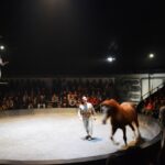 Sul Informação - Viagem poética ao encontro da “bestia” que há dentro de cada um de nós [fotogaleria e vídeo]