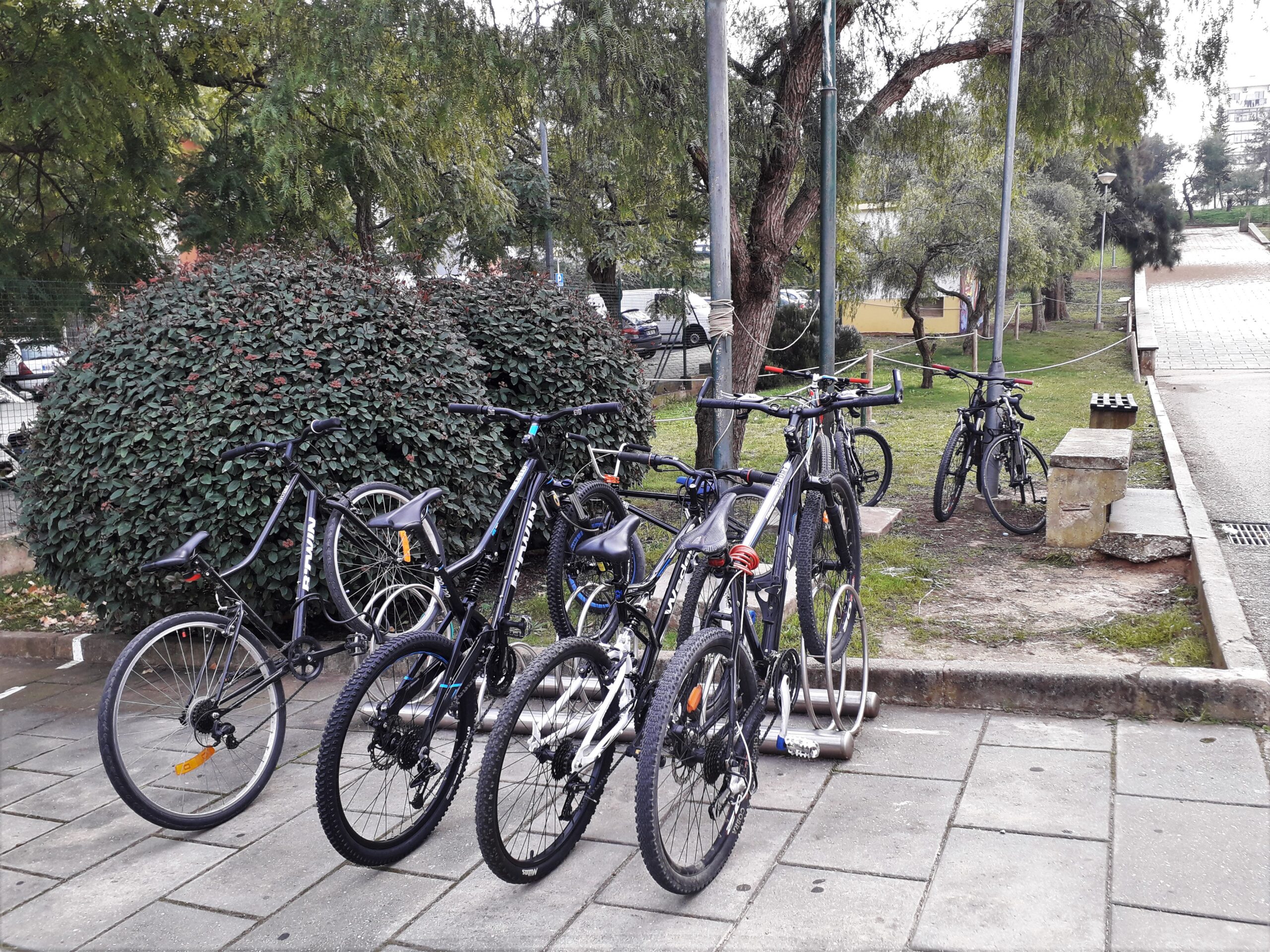 Sul Informação - Faro: Pinheiro e Rosa dá reforço alimentar a alunos que vão de bicicleta para a escola