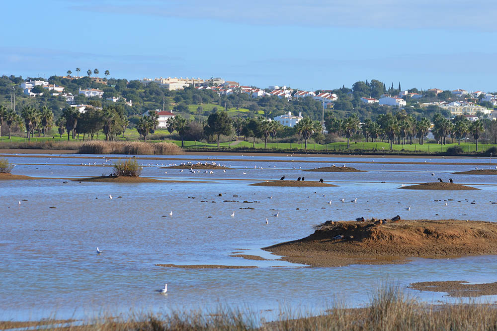 Sul Informação - Seminário em Albufeira quer dar a «conhecer a ciência da Lagoa dos Salgados»