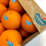 Sul Informação - Frusoal lança marcas Gomo e Biogomo para valorizar sabor dos Citrinos do Algarve