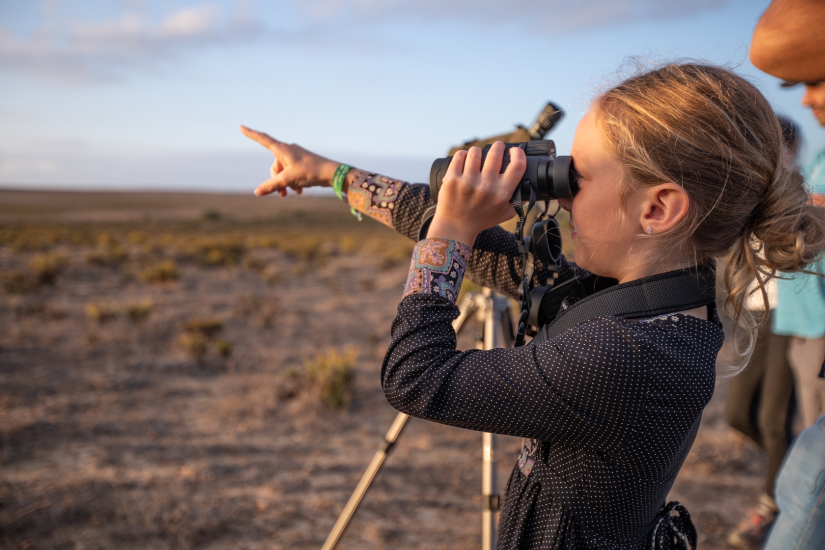 Sul Informação - Festival de Observação de Aves regressa a Sagres e traz novidades com ele