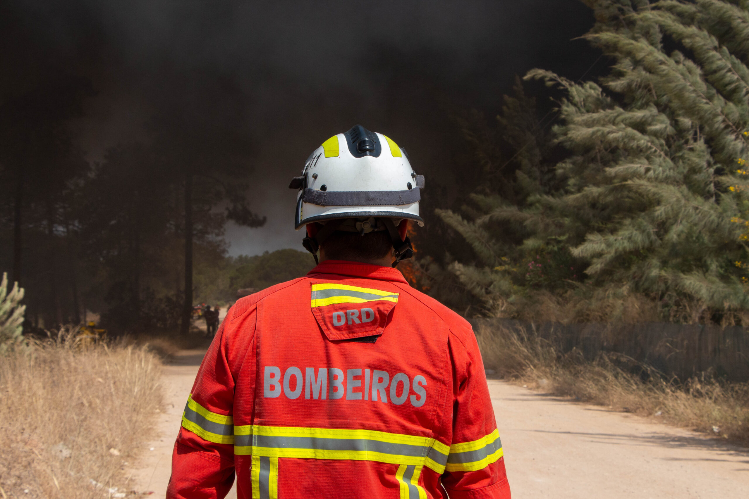 Sul Informação - AMAL quer que o Algarve tenha uma Força Especial de Bombeiros regional