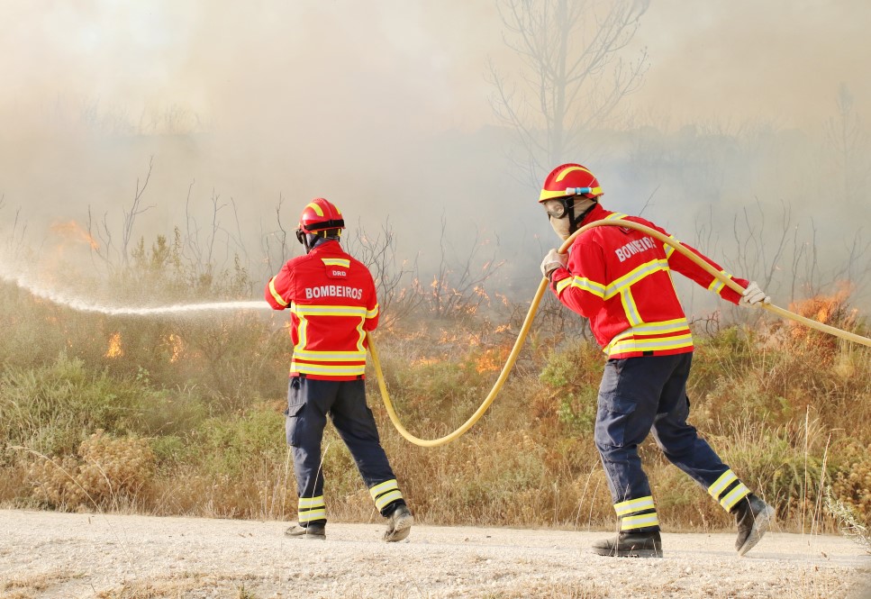Sul Informação - «Próximas horas vão ser fundamentais» para controlar de vez incêndio de Monchique (com fotos)