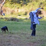 Sul Informação - O Rastilho que acende um fogo de alegria nos campos da Bordeira
