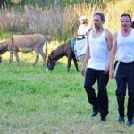 Sul Informação - O Rastilho que acende um fogo de alegria nos campos da Bordeira