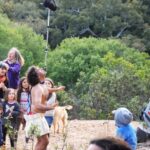 Sul Informação - O Rastilho que acende um fogo de alegria nos campos da Bordeira