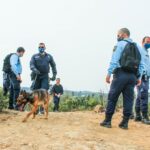 Sul Informação - «Vamos esperar uma boa notícia»: GNR mobiliza 210 homens para buscas de idosa
