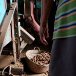 Sul Informação - Patrimónios imateriais e fotografia