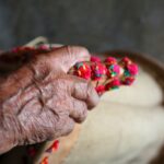 Sul Informação - Patrimónios imateriais e fotografia