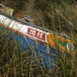 Sul Informação - Imagens de um singular Algarve – Memória das orgânicas embarcações