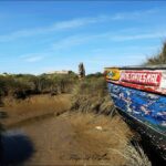 Sul Informação - Imagens de um singular Algarve – Memória das orgânicas embarcações