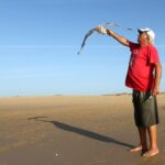 Sul Informação - Patrimónios imateriais e fotografia