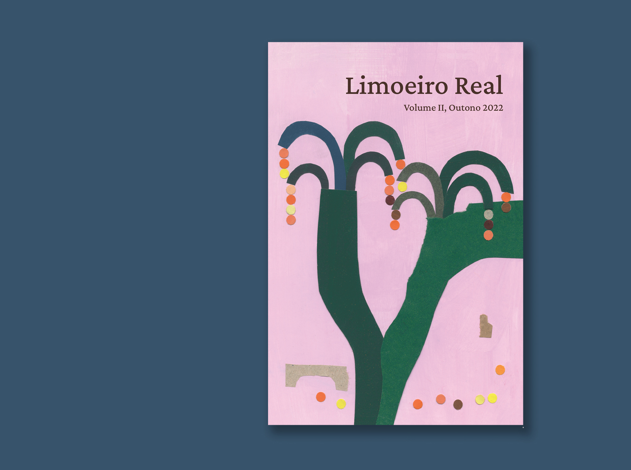 Sul Informação - Novo número da revista “Limoeiro Real” reúne contos, ensaios e poemas de 12 autores