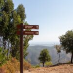 Sul Informação - À volta do Castelo nasceu uma nova vida para Alferce