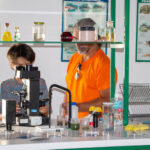 Sul Informação - CCV do Algarve celebra 26 anos com olhos postos num futuro observatório 