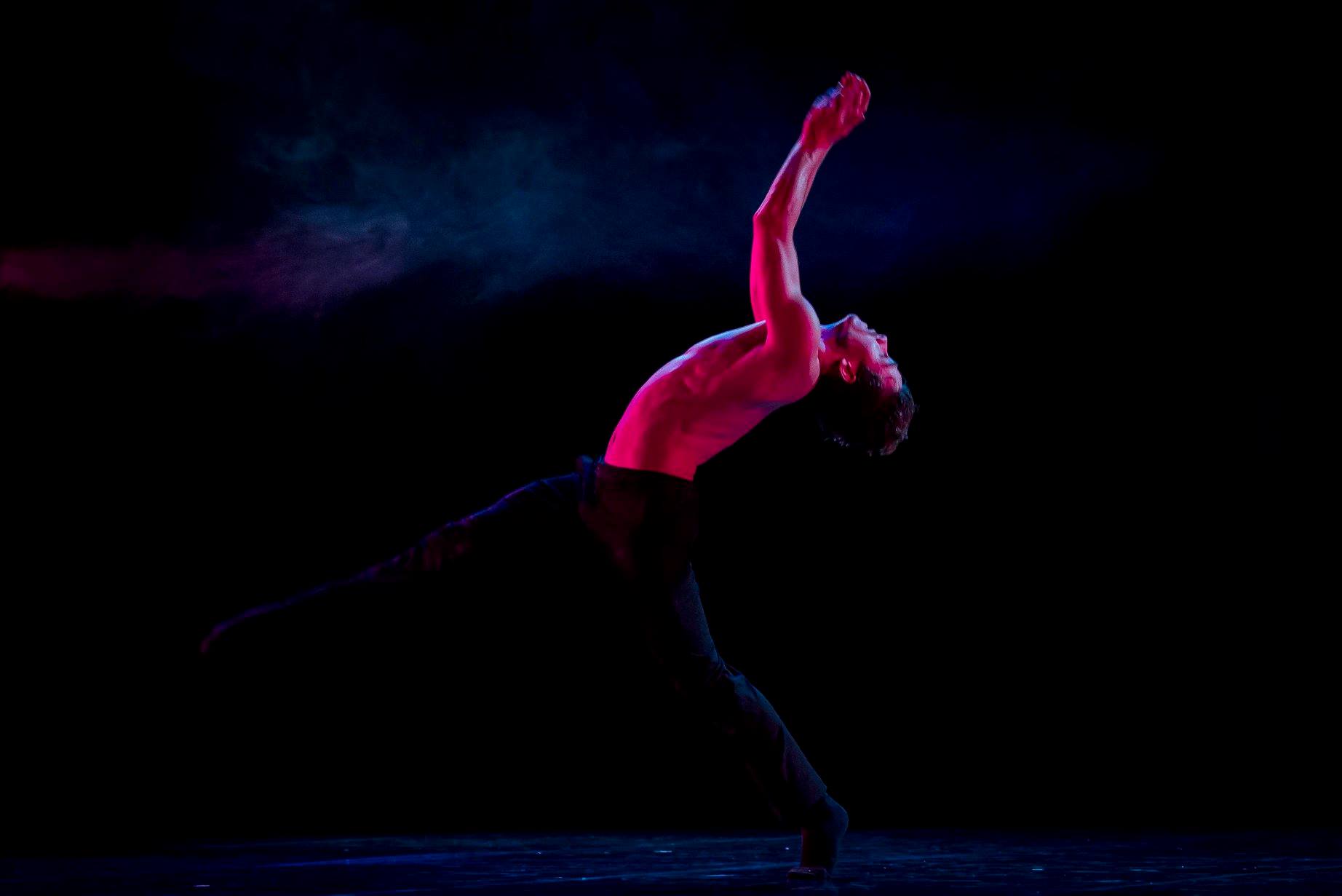 Sul Informação - Festival de Dança Contemporânea avança em Évora apesar da pandemia